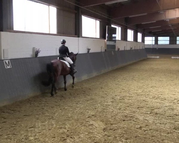 Reitturnier Dortmund-Asseln 2018