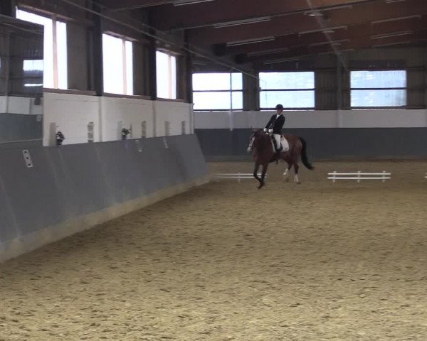 Reitturnier Dortmund-Asseln 2018
