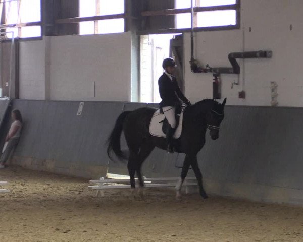 Reitturnier Dortmund-Asseln 2018