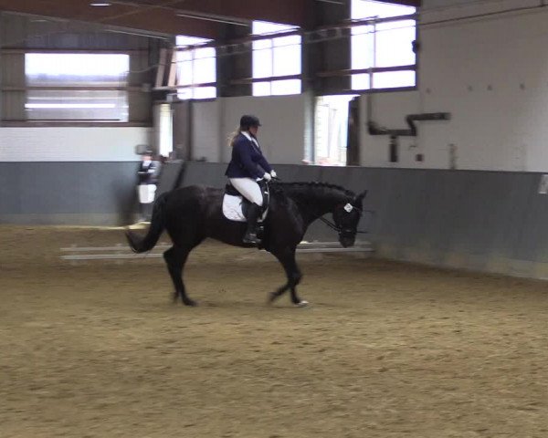 Reitturnier Dortmund-Asseln 2018
