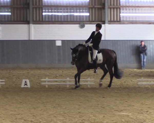 Reitturnier Dortmund-Asseln 2018