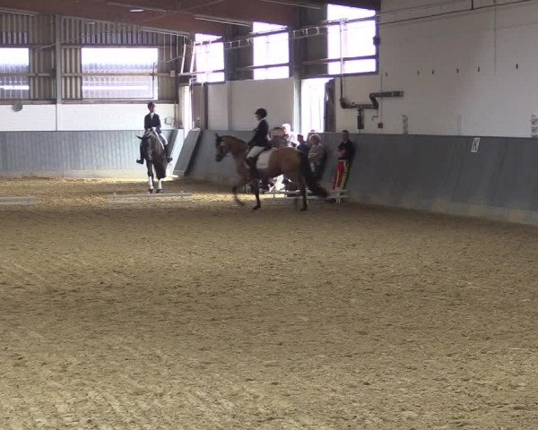 Reitturnier Dortmund-Asseln 2018