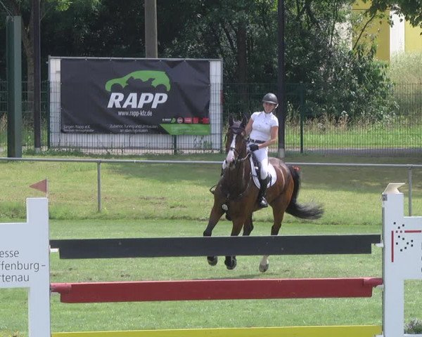 Reitturnier Legelshurst 2018