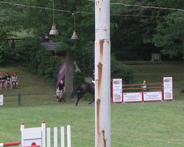 Reitturnier Legelshurst 2018