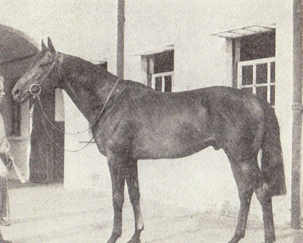 stallion Jock Scot xx (Thoroughbred, 1945, from Scottish Union xx)