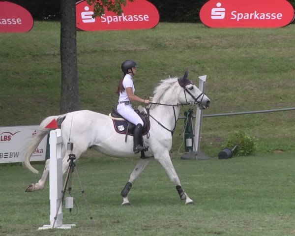 Reitturnier Legelshurst 2018