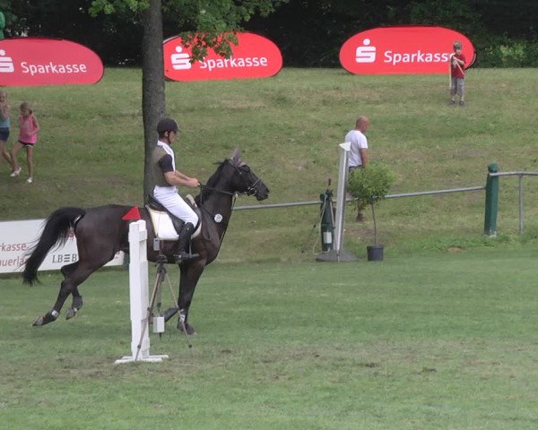 Reitturnier Legelshurst 2018