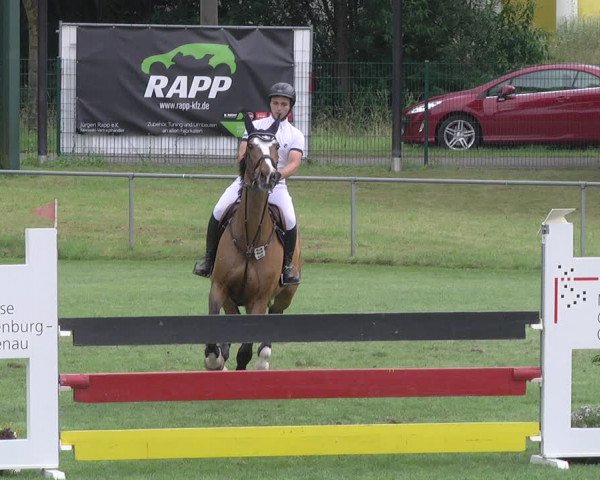 Reitturnier Legelshurst 2018