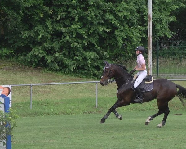 Reitturnier Legelshurst 2018