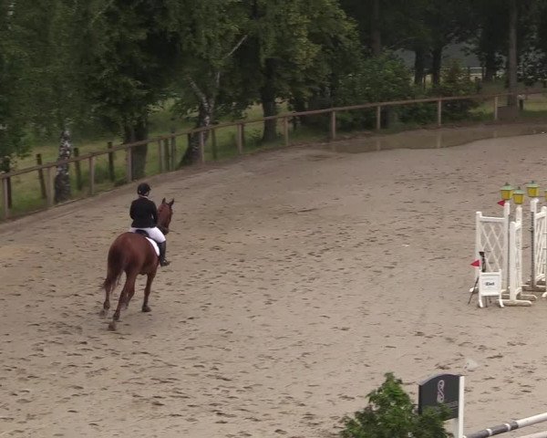 Reitturnier Erkrath - Uhlenhof 2018