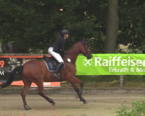 Reitturnier Erkrath - Uhlenhof 2018