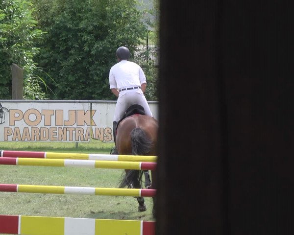 Reitturnier Legelshurst 2018