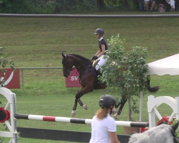 Reitturnier Legelshurst 2018