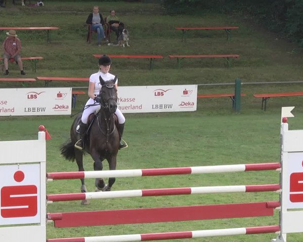Reitturnier Legelshurst 2018