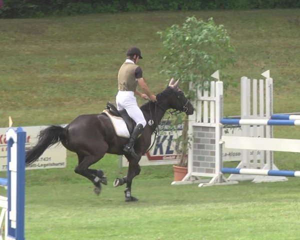 Reitturnier Legelshurst 2018