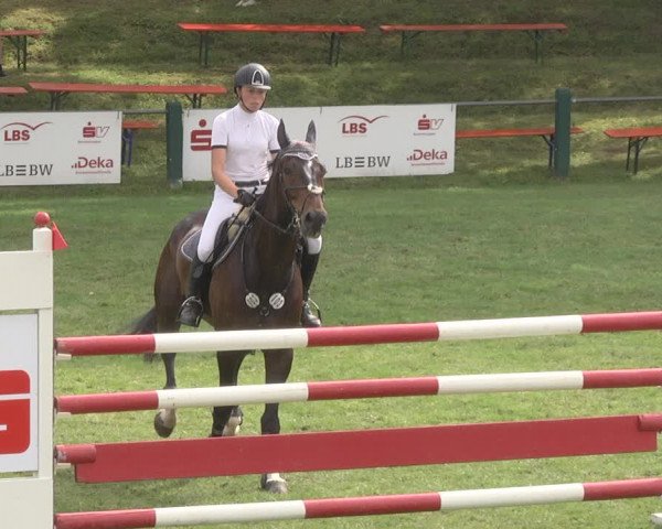 Reitturnier Legelshurst 2018