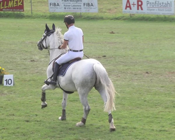 Reitturnier Legelshurst 2018