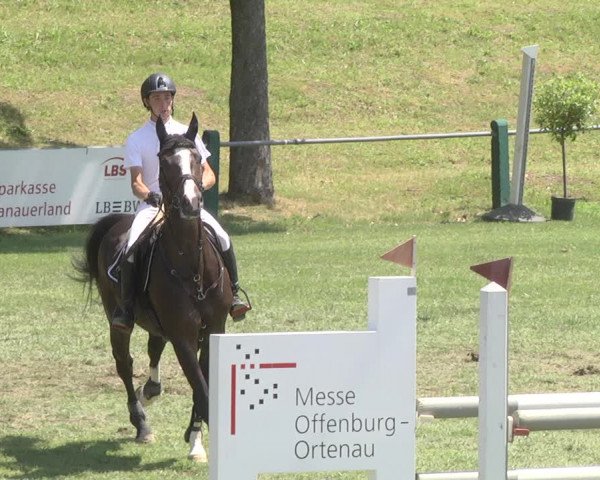 Reitturnier Legelshurst 2018