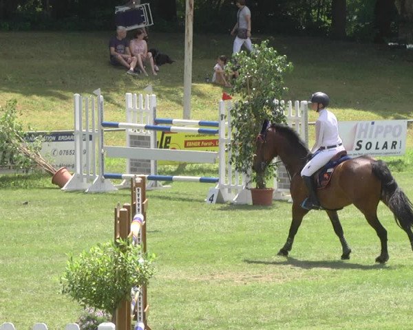 Reitturnier Legelshurst 2018
