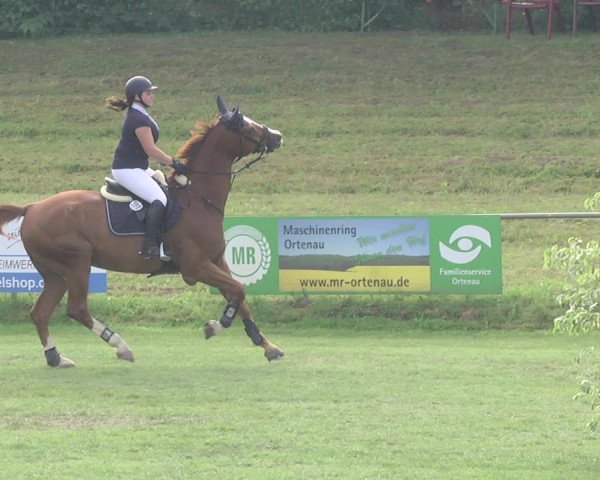 Reitturnier Legelshurst 2018