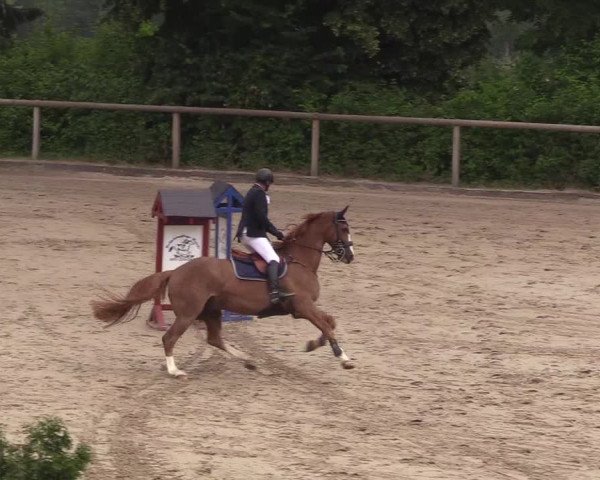 Reitturnier Erkrath - Uhlenhof 2018