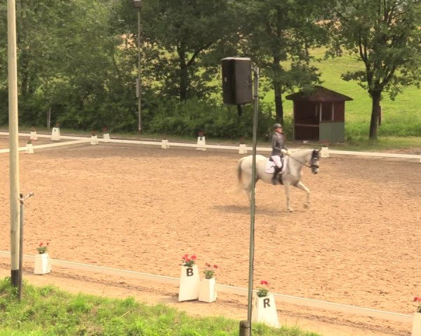 Reitturnier Erkrath - Uhlenhof 2018