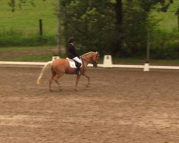 Reitturnier Erkrath - Uhlenhof 2018