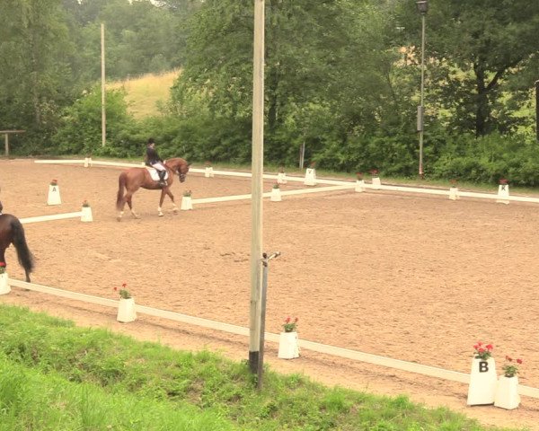 Reitturnier Erkrath - Uhlenhof 2018