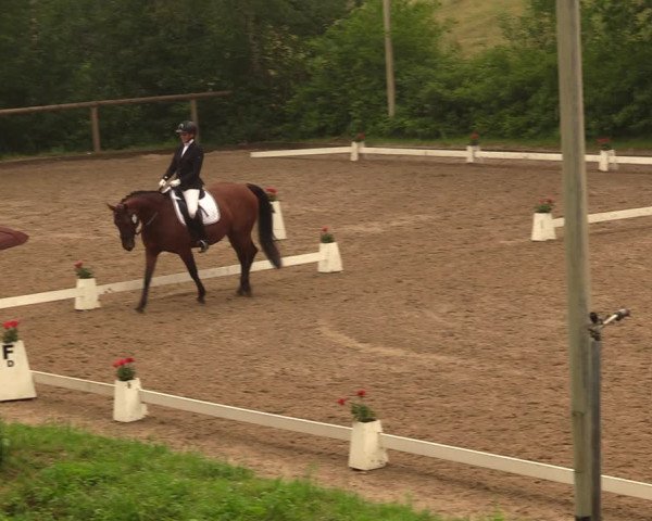 Reitturnier Erkrath - Uhlenhof 2018