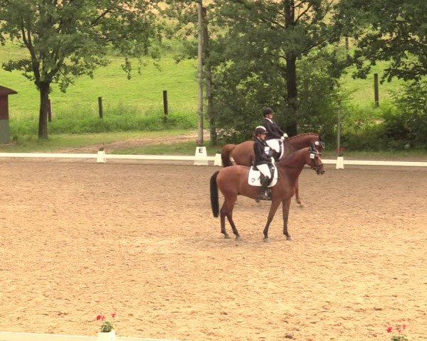 Reitturnier Erkrath - Uhlenhof 2018