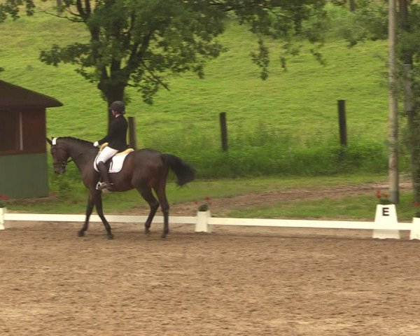 Reitturnier Erkrath - Uhlenhof 2018