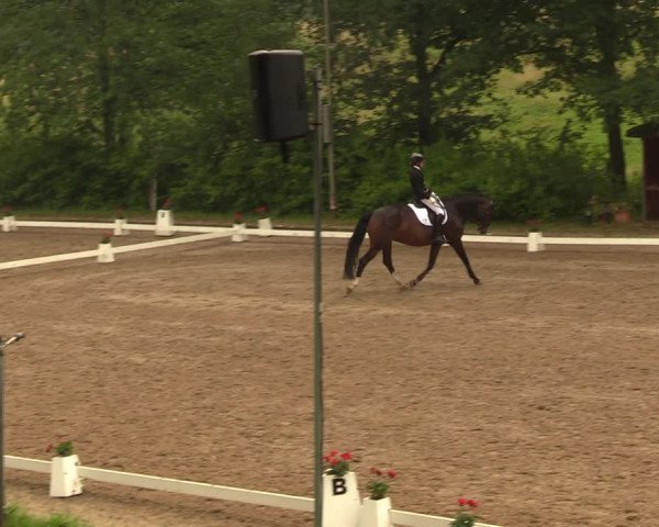 Reitturnier Erkrath - Uhlenhof 2018