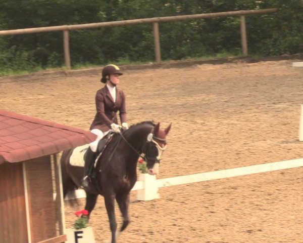 Reitturnier Erkrath - Uhlenhof 2018
