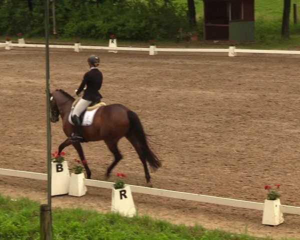 Reitturnier Erkrath - Uhlenhof 2018