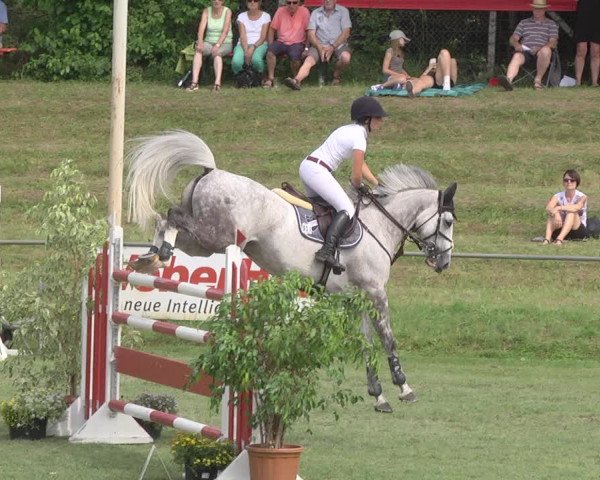 Reitturnier Legelshurst 2018