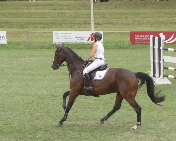 Reitturnier Legelshurst 2018