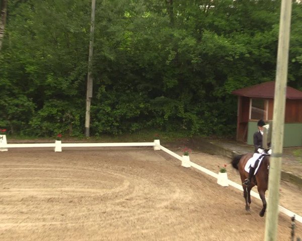 Reitturnier Erkrath - Uhlenhof 2018