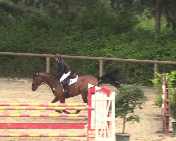 Reitturnier Erkrath - Uhlenhof 2018