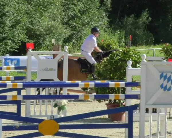 Reitturnier Isny-Rohrdorf 2018
