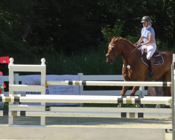 Reitturnier Isny-Rohrdorf 2018