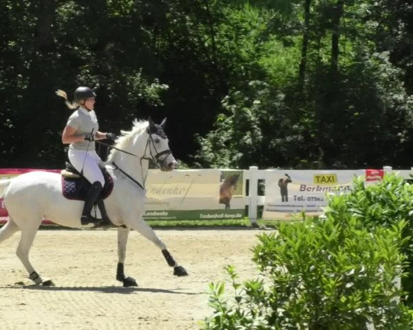 Reitturnier Isny-Rohrdorf 2018