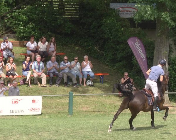 Reitturnier Legelshurst 2018