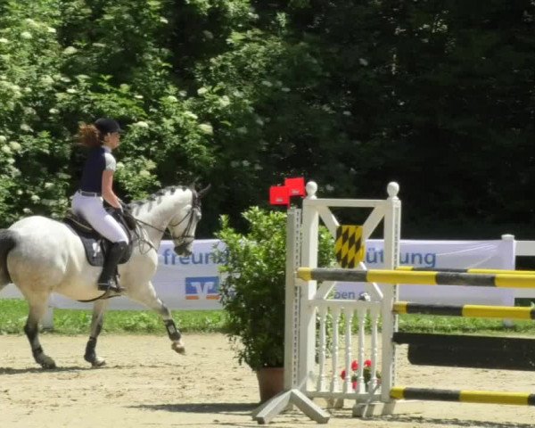 Reitturnier Isny-Rohrdorf 2018