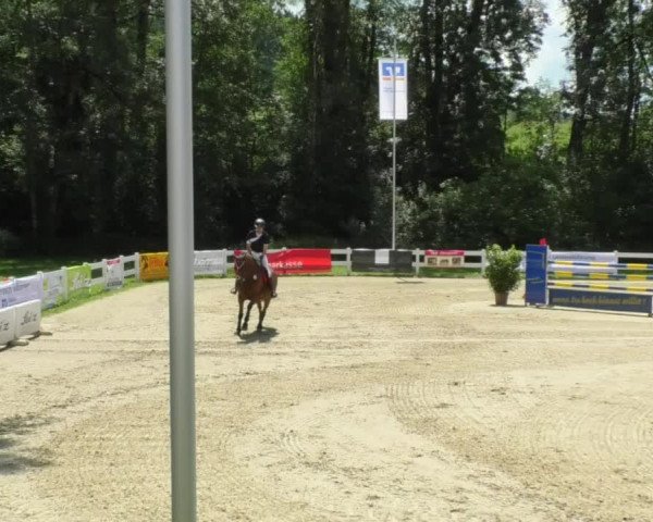 Reitturnier Isny-Rohrdorf 2018