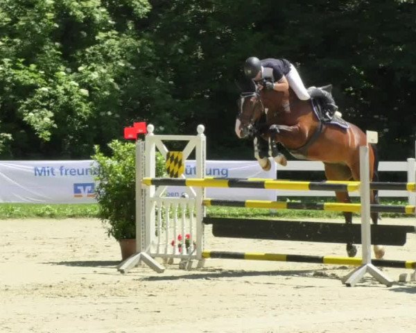 Reitturnier Isny-Rohrdorf 2018