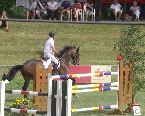 Reitturnier Legelshurst 2018