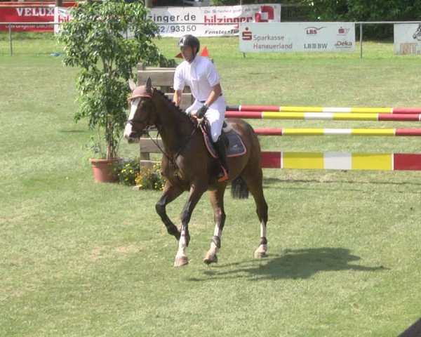 Reitturnier Legelshurst 2018
