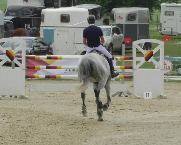 Reitturnier Isny-Rohrdorf 2018
