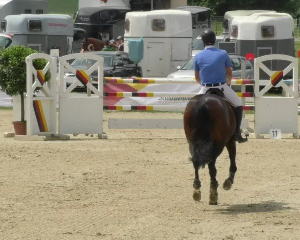 Reitturnier Isny-Rohrdorf 2018