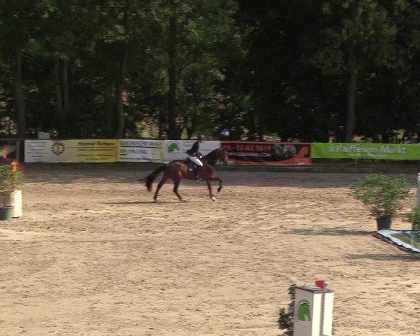 Reitturnier Erkrath - Uhlenhof 2018